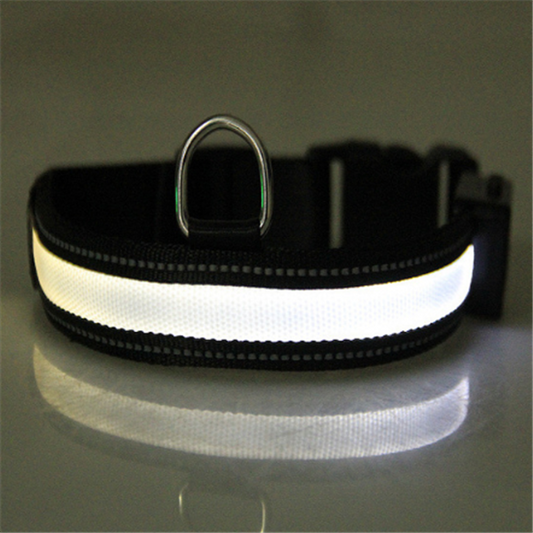 Fluorescent dog collar