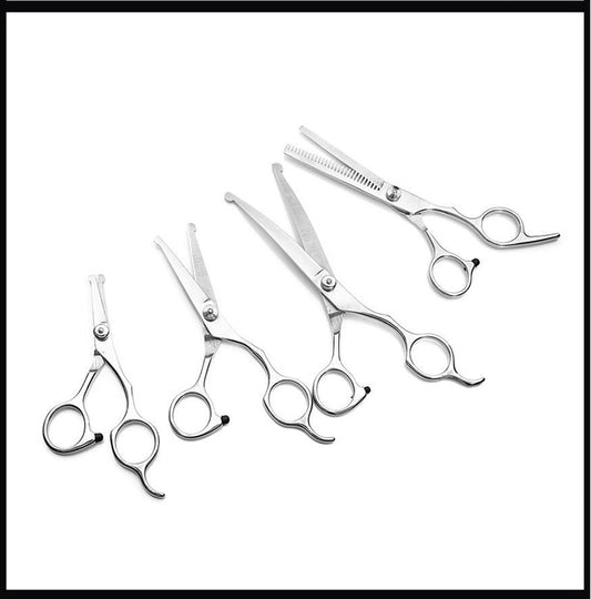 Domestic pet scissors set